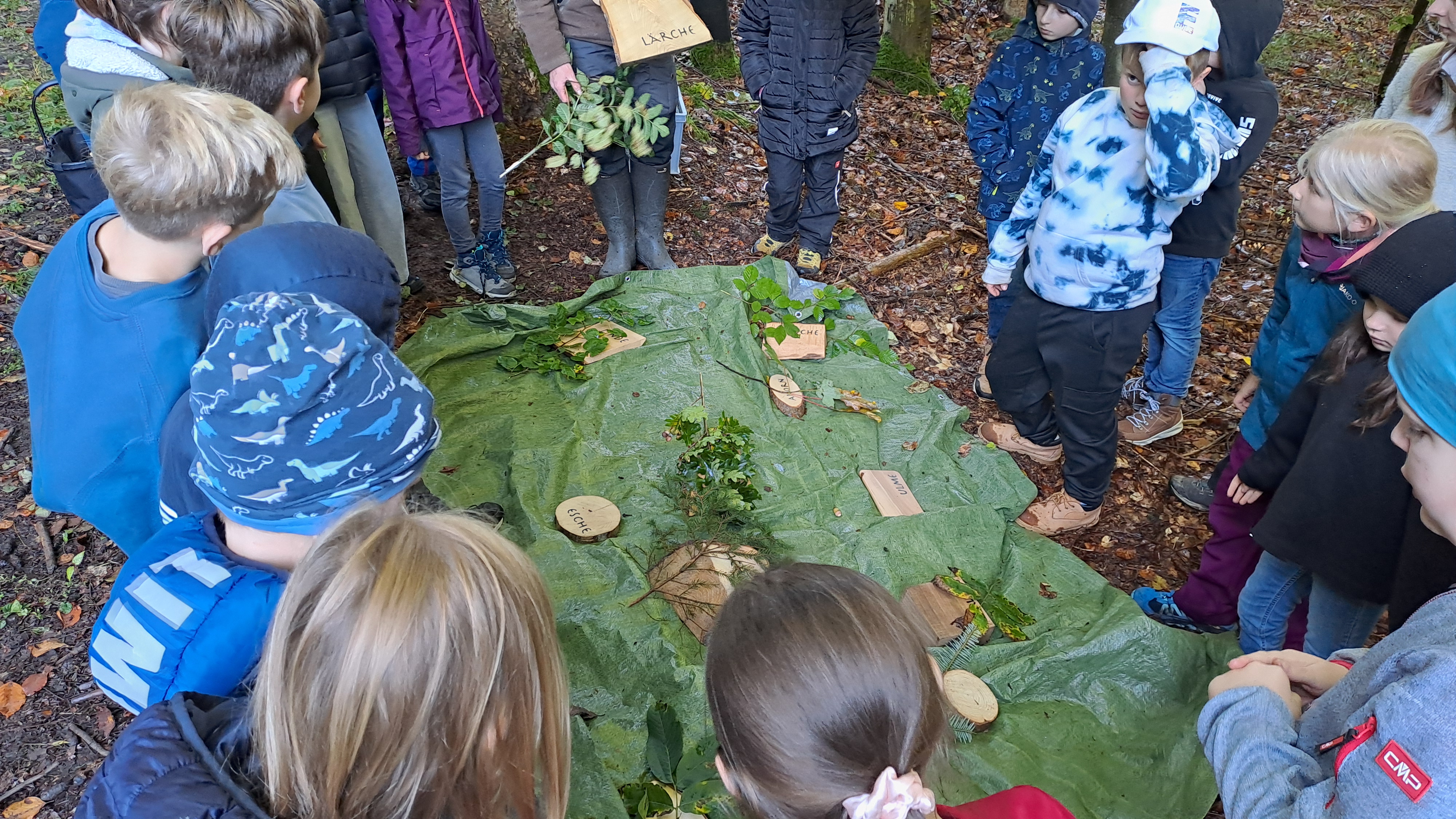 Unterricht im Wald